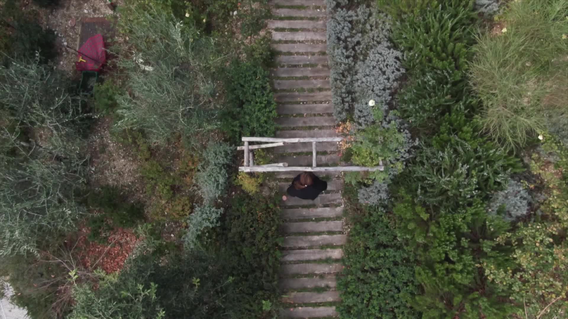 Blessed Carlo Acutis- From London to the World